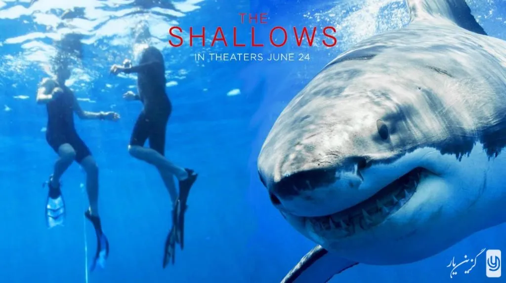 The Shallows (2016)