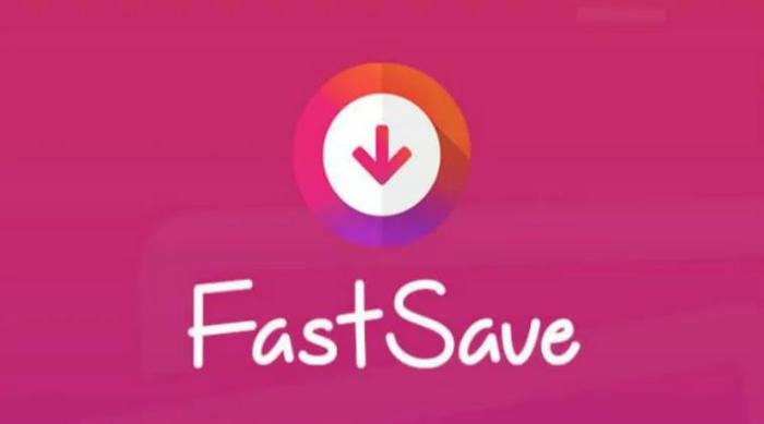 FastSave Video Downloader For Instagram