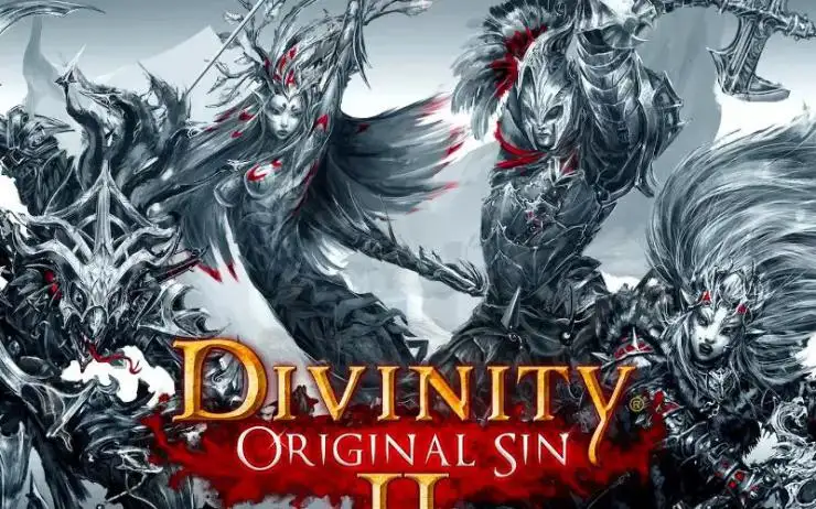 Divinity Original Sin II