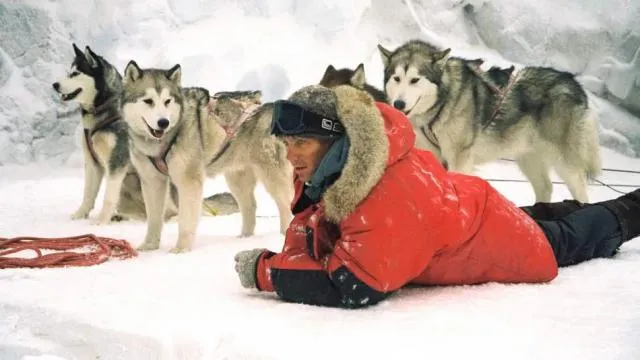 Eight Below